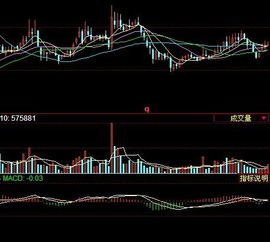 金城股份4.03买入，后市该如何操作啊