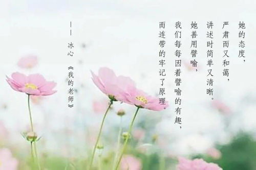 关于教师节的古诗句大全