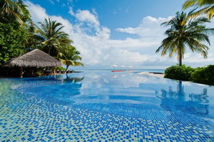 马尔代夫库拉提岛旅游攻略探索热带天堂的最佳时间（库拉玛提岛）