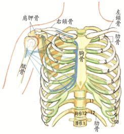 肋骨外翻如何矫正 表情大全