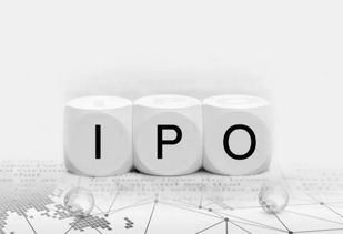 什么是IPO