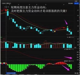 怎么查看某支股票一天中成交量排在前几名的营业部