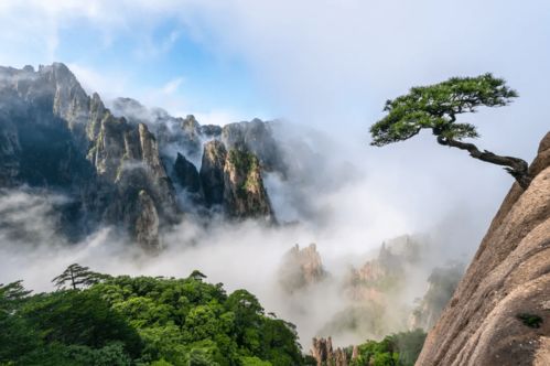 生态黄山 经万年风雨之洗礼 造 山外无山 之奇景