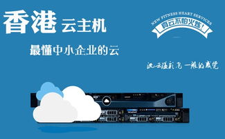 请教下香港虚拟主机和香港云主机用哪个 (云解析dns香港虚拟主机)