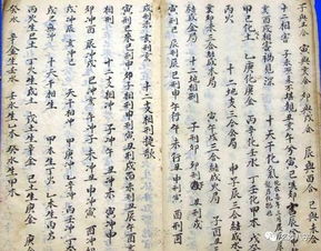 玄妙八字 四柱八字 干支关系作用论与长生十二神论 仅供爱好者参考 