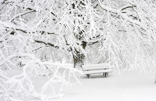 雪之赞词，景之华章，赞雪景的好词语有哪些