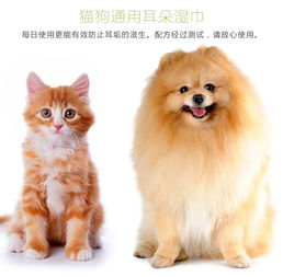 派锐 猫狗用耳朵湿巾100片 生活日用 狗狗专区 波奇宠物商城 