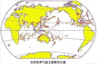 历史上由天气决定胜负的战争有哪些