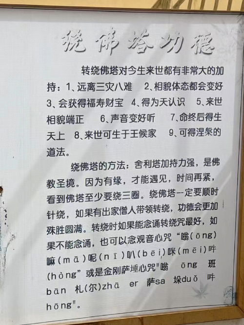 瓦房店 周边自驾亲子小众半日游探索历史游 