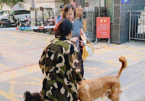 宿州城区不文明养犬行为曝光台 组图