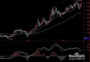 股票中的5分钟 15分钟 30分钟等是什么意思？