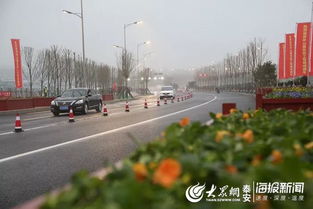 泰安环山路东延线 货场路 天平大街 学院路正式通车