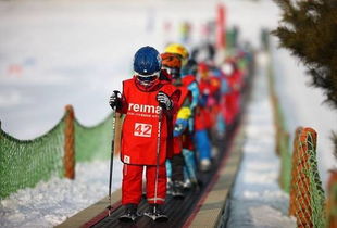冬令营早鸟价 安吉 冰雪王国 滑雪营,让孩子成为滑雪高手 