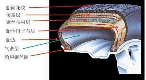 汽车用车知识科普,科学解读轮胎气压,科技改变生活