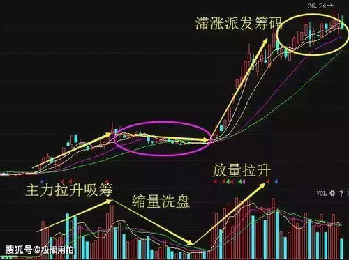 小股民在股市中如何快速成长