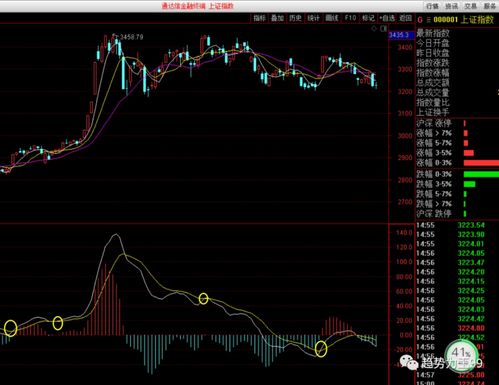 股票入门 >；>； 股票指标 >；>； macd >；>； 正文 macd的0轴是什么意思