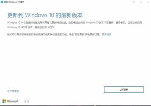 win10电脑更新包保存在哪个文件夹里