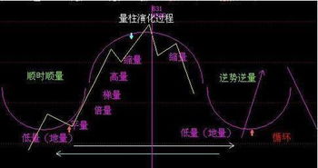 散户如何跟着机构操盘手选股？