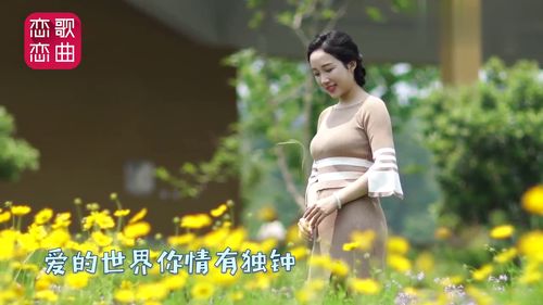 安东阳男女对唱情歌