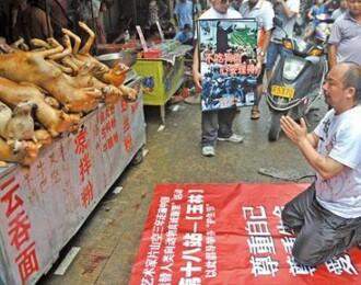 中国有三个地方吃狗肉,就广西玉林狗肉节争议最大