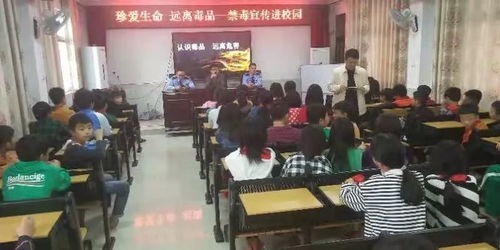 陆丰甲子有哪些足球队,广东省陆丰市甲子镇有多少个小学,中学