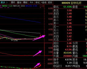 帮我分析吉林化纤这支股票后市机会如何？4.8元进的，