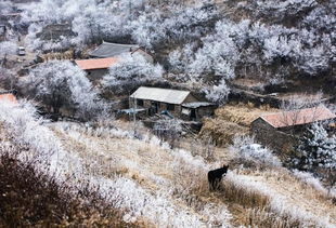 众生朝圣地 凌源大裂山