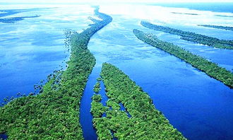 世界上 最厉害 的河流,为避免生态环境的破坏,至今没有建过桥