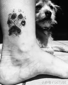 国外网友们把宠物的脚印纹在身上,看到最后你肯定会被感动 