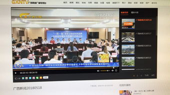 广西电视台 一带一路 背景下中国民族品牌与国家形象对外传播学术研讨会举行