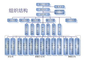 简述事业部制组织结构的特点 