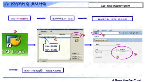 sap系统 ppt,企业级解决方案的引领者