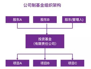 收购亏损公司股权如何缴税