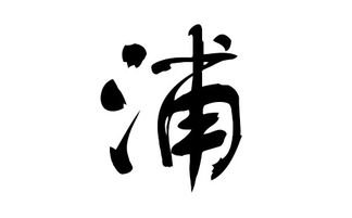 猪年浦姓宝宝起名字