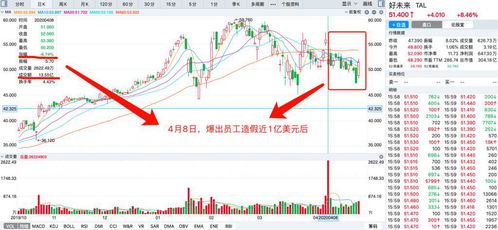 套3年还亏损30%，未来是去是留？