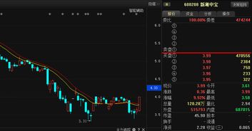 新湖中宝，这只股票怎么样?，谢谢各位老师。