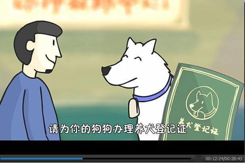 世界狂犬病日漫话一 文明养犬,预防狂犬病