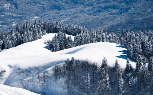 名言 雪景_今冬天气趋势预报名言？