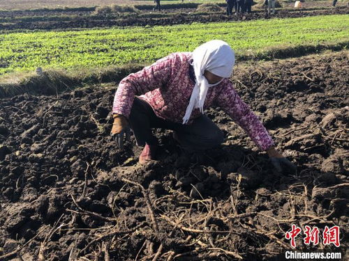 甘肃易地扶贫搬迁存 后遗症 政协委员探解 两头跑 生活