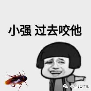 我在电脑上养了一只小强,结果