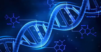 做DNA鉴定需要提供些什么,DNA用什么试剂鉴定,做DNA鉴定需要准备什么