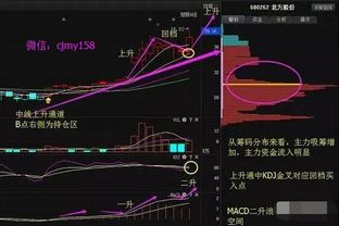 三峡新材明天还可以介入吗