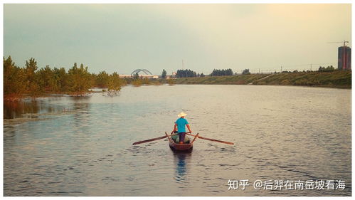 去岳阳有哪些不为人知的有趣地方 