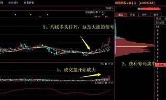 如何选择一个非常好的股票 ，上涨空间非常大？