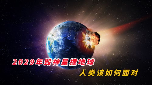 2029年是什么命,2029年是什么年