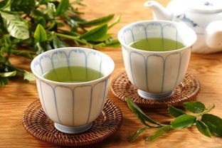 你知道如何正确选购优质绿茶吗