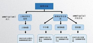 怎样抄股，入门知识