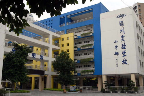 深圳实验学校自考,深圳自考怎么报名？