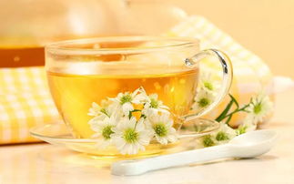 喝菊花茶对人有好处吗,喝了菊花茶对人体有什么好处?