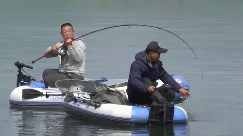 看别人钓鱼太刺激了 